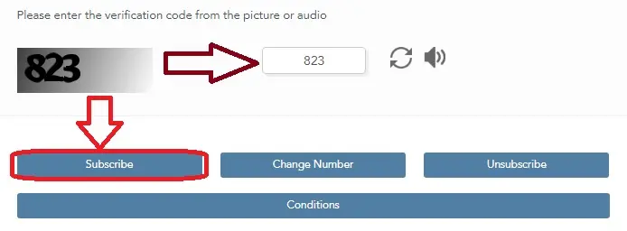 Register Vodafone Number with QID