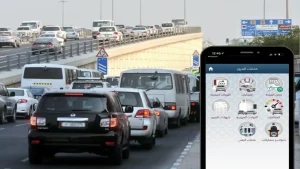 Traffic Violation Check Online